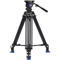 bv8