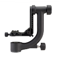 gh2