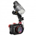 olympus-ptmc-01