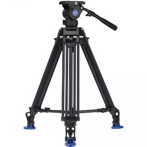 bv8