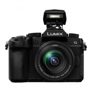 panasonic-lumix-g90-12-60-face